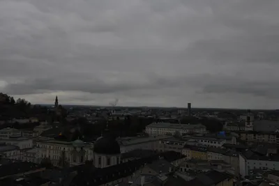 DSC_7024 (Large).JPG